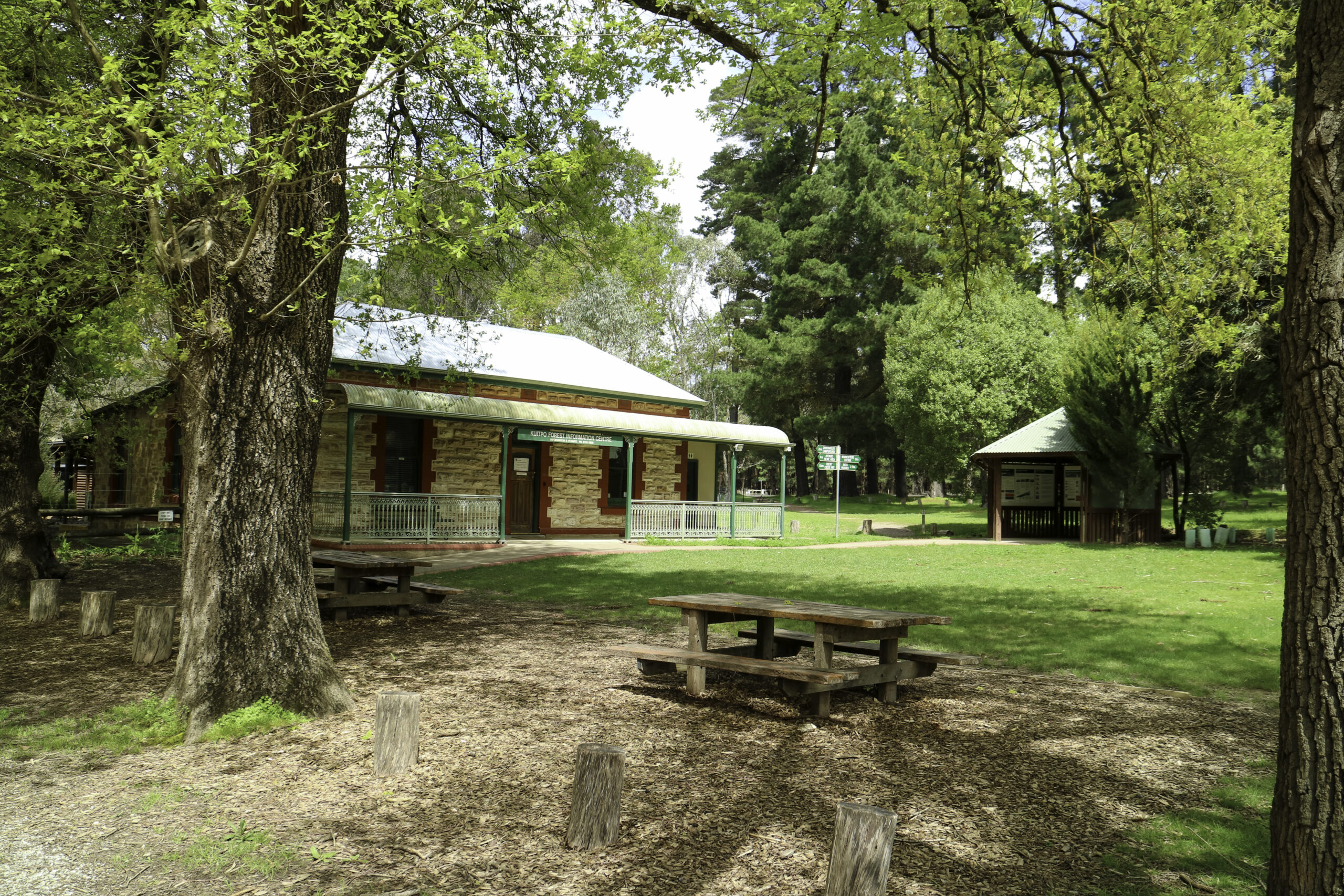 picnicking-forestrysa